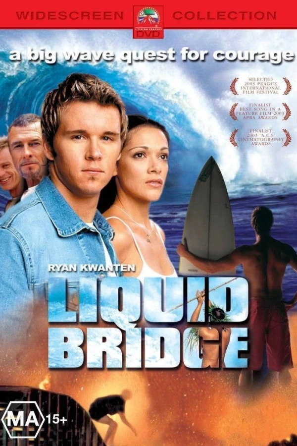 Liquid Bridge Póster